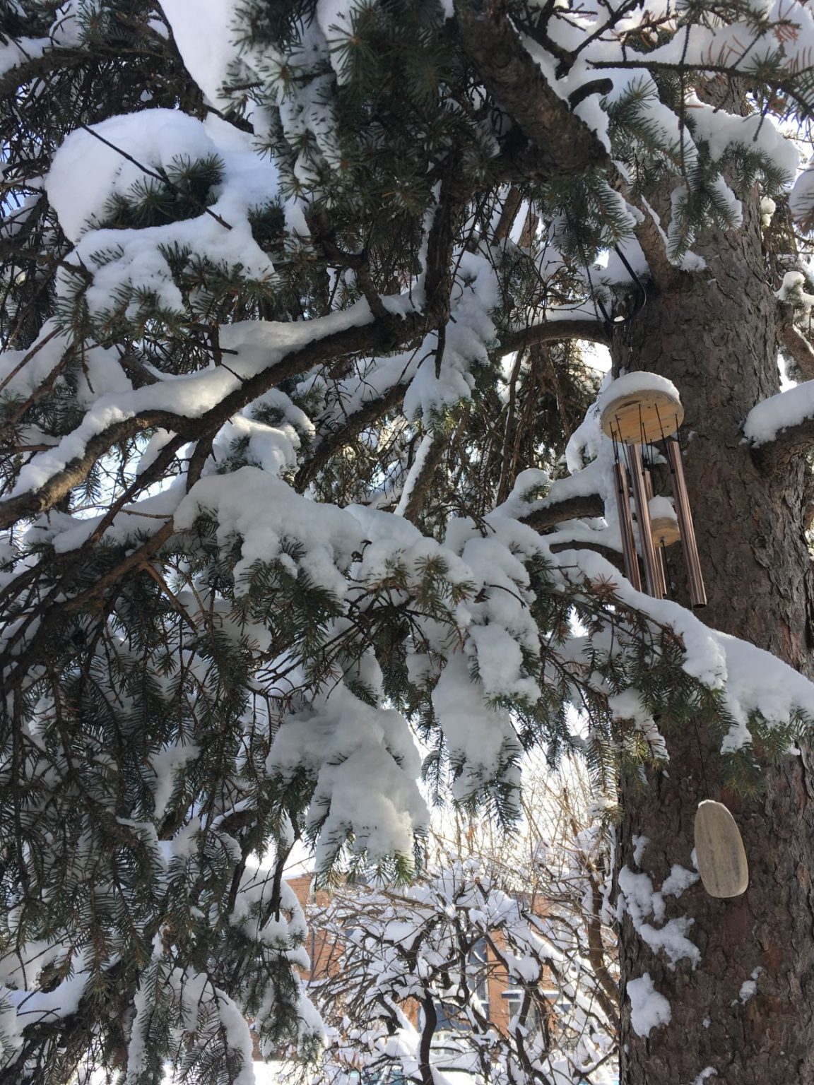 Day 9 of Loving Winter 2020 MN Winters Grease Rag Ride & Wrench